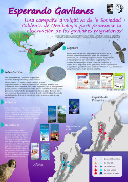 Afiche-Gavilanes-2009-infografia