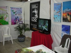 SCO-Exposicion Orquideas 2013