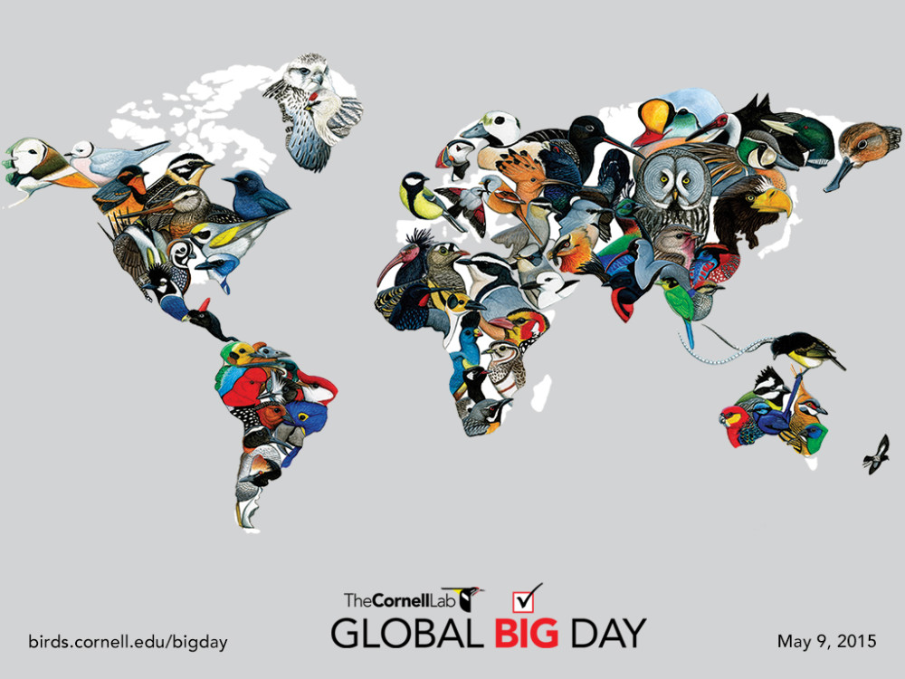 Cornell-Lab-Global-Big-Day-Map