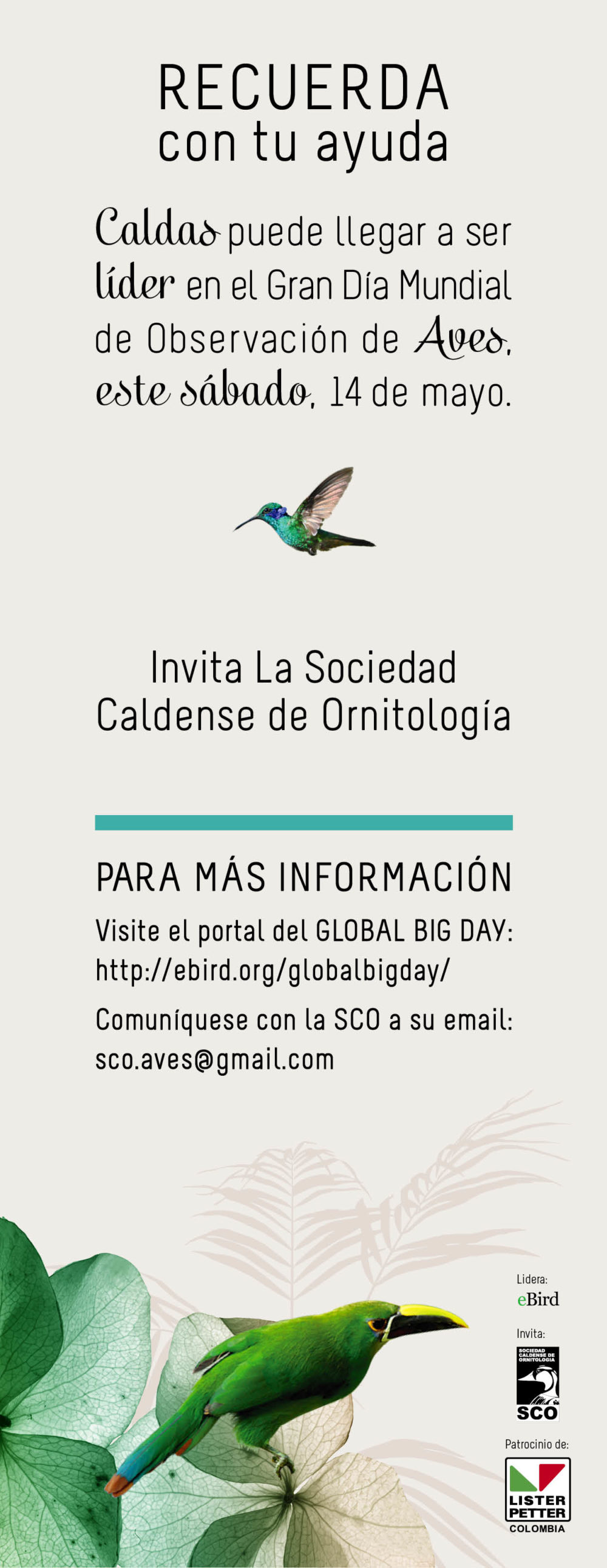 SCO Global Big Day Colombia 04