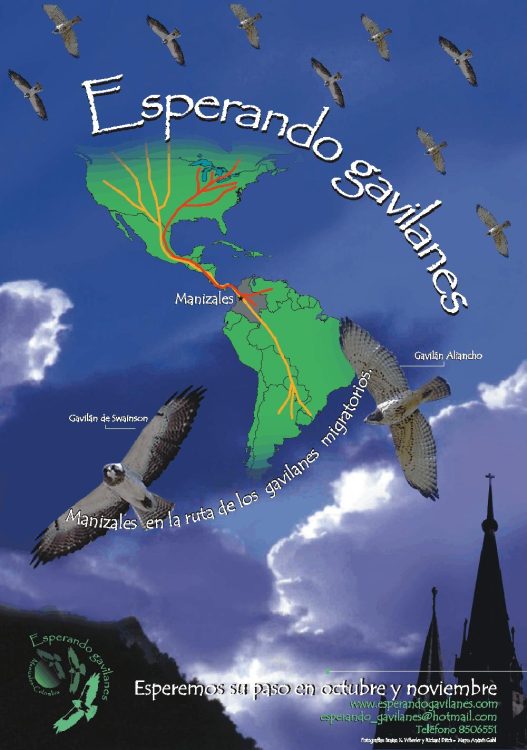 Afiche-Gavilanes-2002