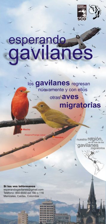 Afiche-Gavilanes-2007